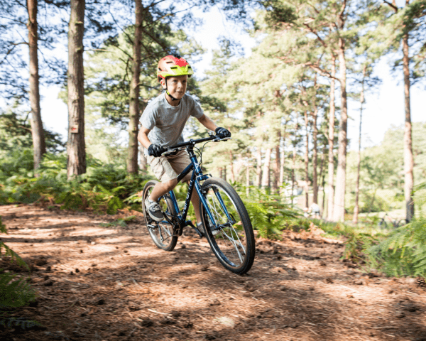 Young boy on a forest track cycling on a bike fast around a bend. Trees and blue skies behind