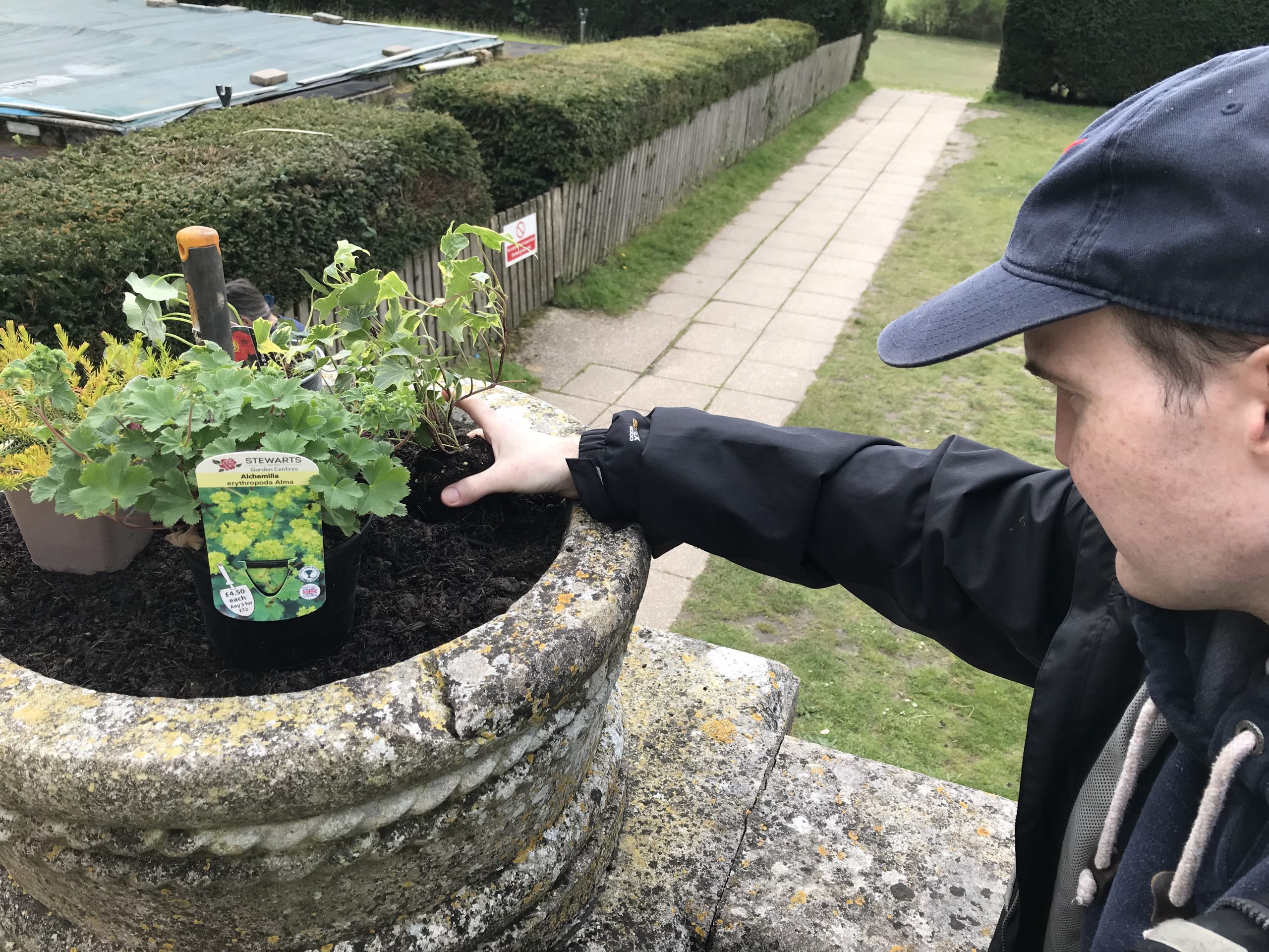 Young male adult stood with hand in stone plant pot, potting plants in the soil